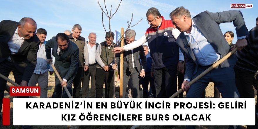 Karadeniz’in En Büyük İncir Projesi: Geliri Kız Öğrencilere Burs Olacak