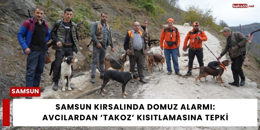 Samsun Kırsalında Domuz Alarmı: Avcılardan ‘Takoz’ Kısıtlamasına Tepki