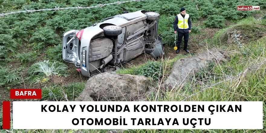 Kolay Yolunda Kontrolden Çıkan Otomobil Tarlaya Uçtu