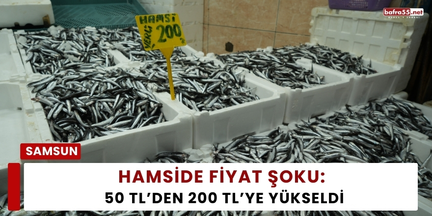 Hamside Fiyat Şoku: 50 TL’den 200 TL’ye Yükseldi