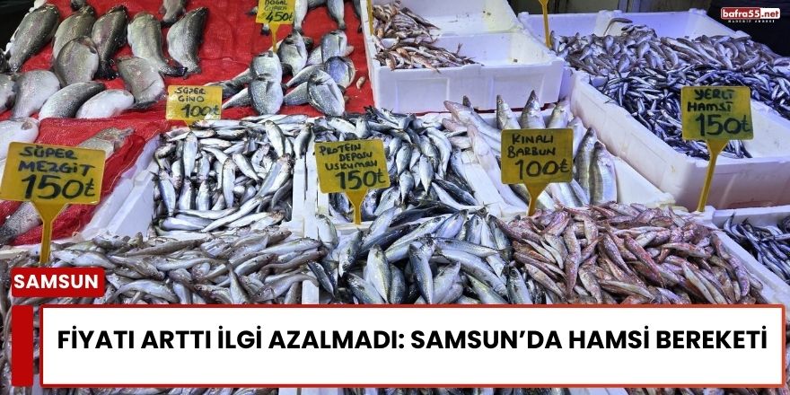 Fiyatı Arttı İlgi Azalmadı: Samsun’da Hamsi Bereketi