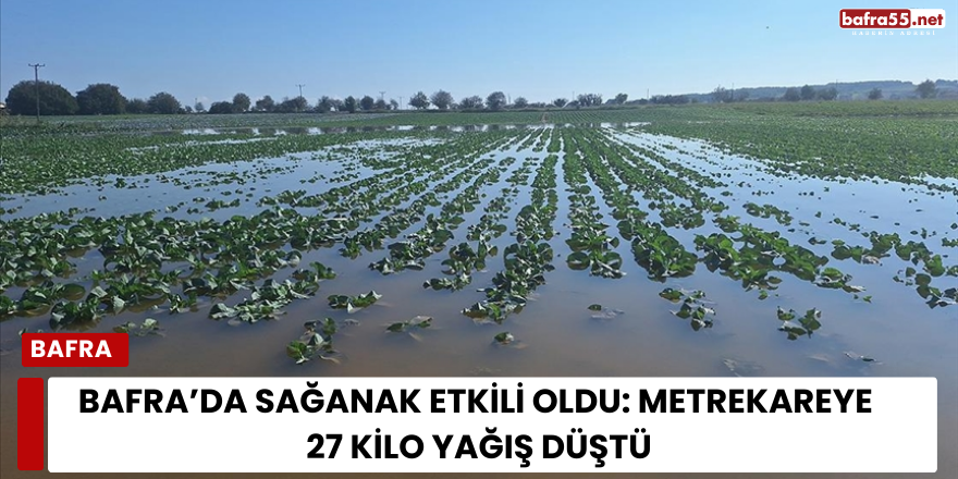 Bafra’da Sağanak Etkili Oldu: Metrekareye 27 Kilo Yağış Düştü
