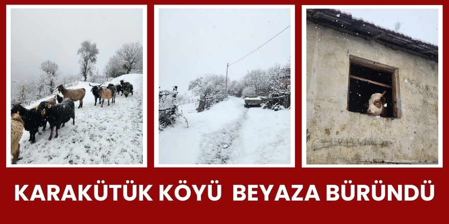 Karakütük Köyü  Beyaza Büründü