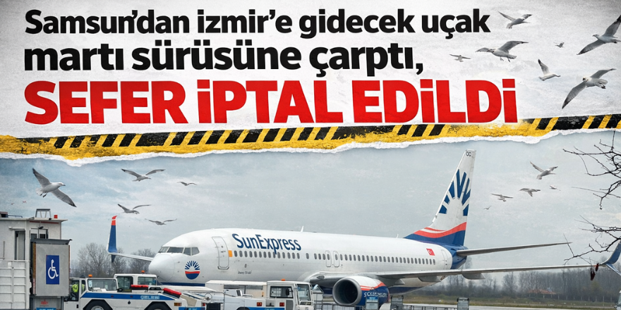 Samsun’dan İzmir’e gidecek uçak martı sürüsüne çarptı, sefer iptal edildi
