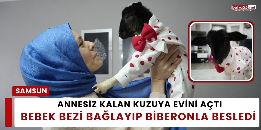 Annesiz Kalan Kuzuya Evini Açtı, Bebek Bezi Bağlayıp Biberonla Besledi