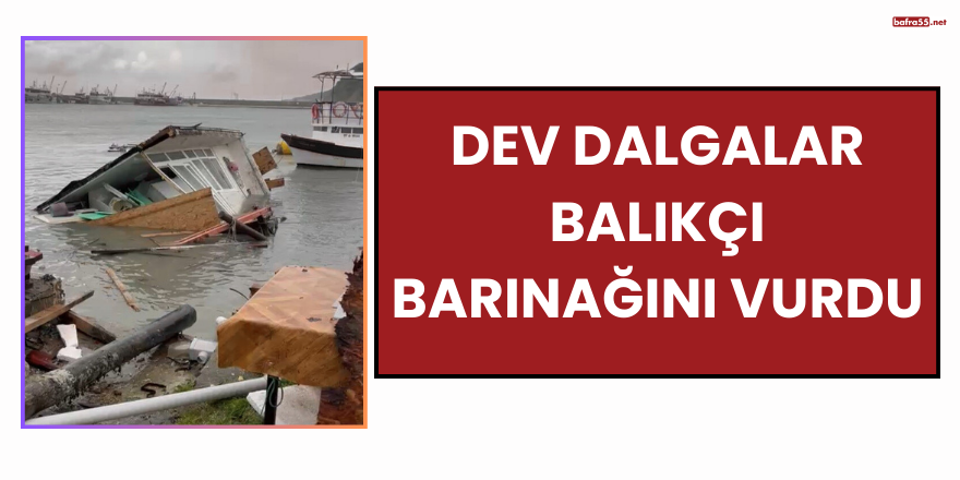 Dev Dalgalar Balıkçı Barınağını Vurdu