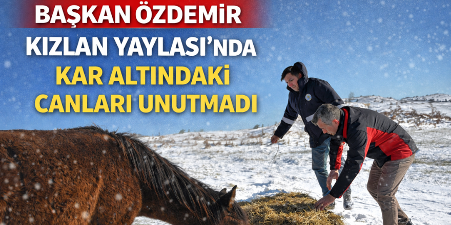 Başkan Özdemir Kızlan Yaylası’nda Kar Altındaki Canları Unutmadı