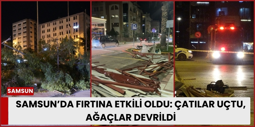 Samsun’da Fırtına Etkili Oldu: Çatılar Uçtu, Ağaçlar Devrildi