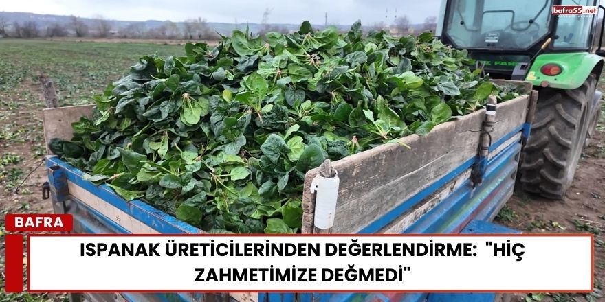 Ispanak Üreticilerinden Değerlendirme:  "Hiç Zahmetimize Değmedi"