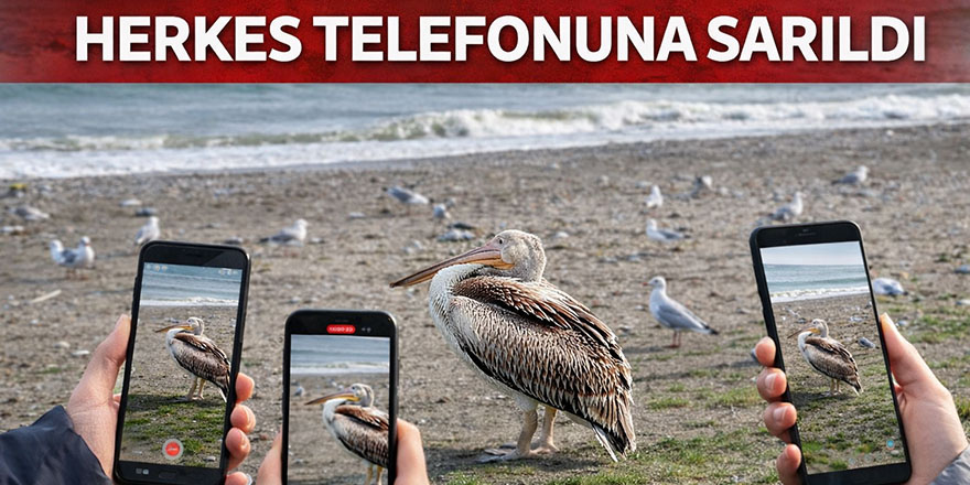 Herkes Telefonuna Sarıldı