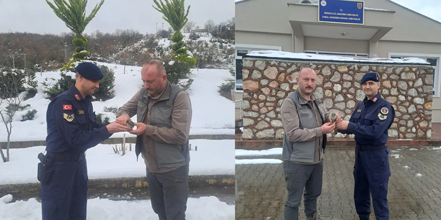 Sinop’ta Yaralı Kuş Kurtarıldı