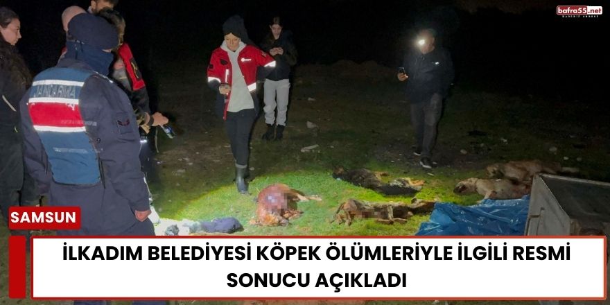 İlkadım Belediyesi Köpek Ölümleriyle İlgili Resmi Sonucu Açıkladı