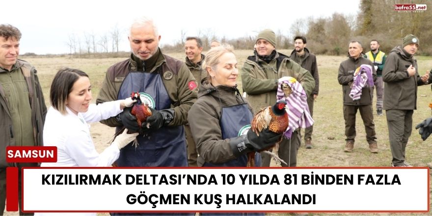 Kızılırmak Deltası’nda 10 Yılda 81 Binden Fazla Göçmen Kuş Halkalandı