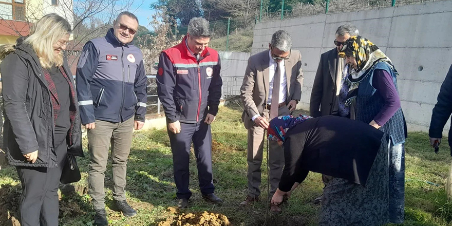 Sinop Huzurevinde Yaşlılar ve Gençler Birlikte Fidan Dikti