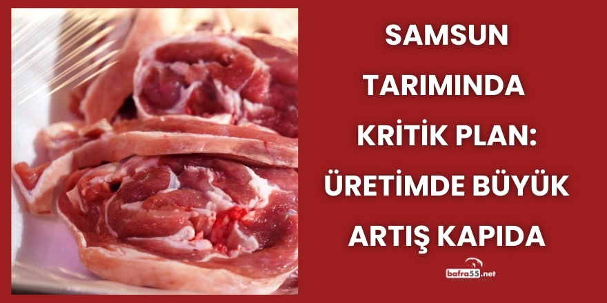 Samsun Tarımında Kritik Plan: Üretimde Büyük Artış Kapıda