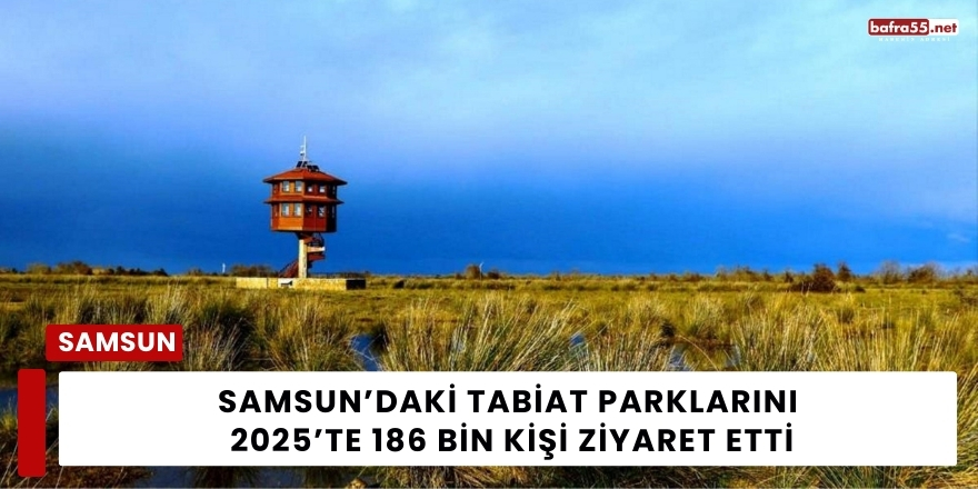 Samsun’daki Tabiat Parklarını 2025’te 186 Bin Kişi Ziyaret Etti