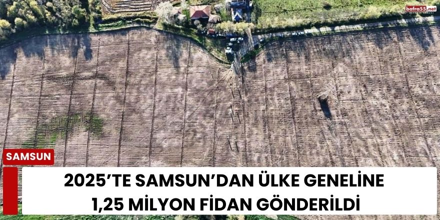 2025’te Samsun’dan Ülke Geneline 1,25 Milyon Fidan Gönderildi