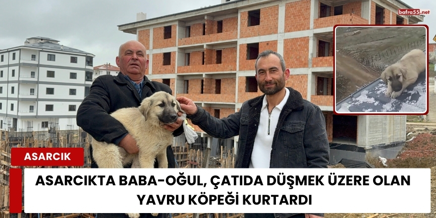 Asarcık' ta Baba-oğul, çatıda düşmek üzere olan yavru köpeği kurtardı