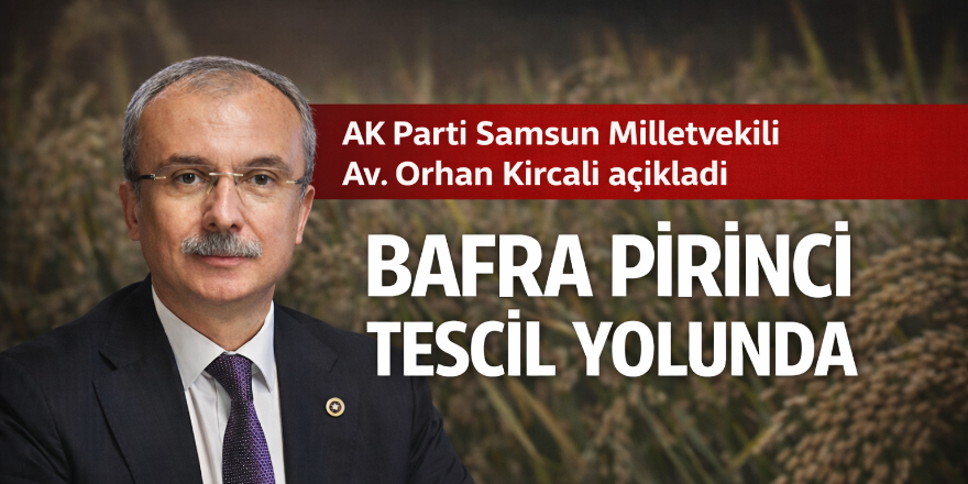 Bafra Pirinci Tescil Yolunda: Orhan Kırcalı’dan Açıklama