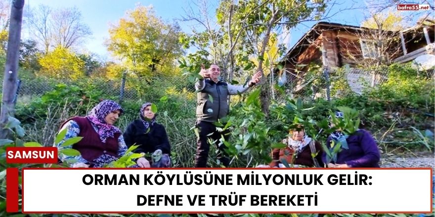 Orman Köylüsüne Milyonluk Gelir: Defne ve Trüf Bereketi
