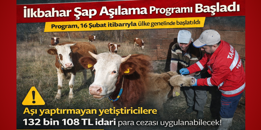 İlkbahar Şap Aşılama Programı Başladı: Aşı Yaptırmayanlara Ceza