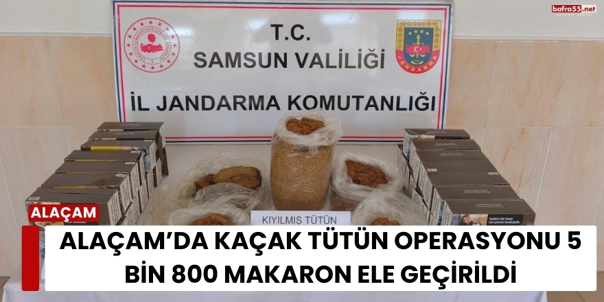 Alaçam’da Kaçak Tütün Operasyonu 5 Bin 800 Makaron Ele Geçirildi