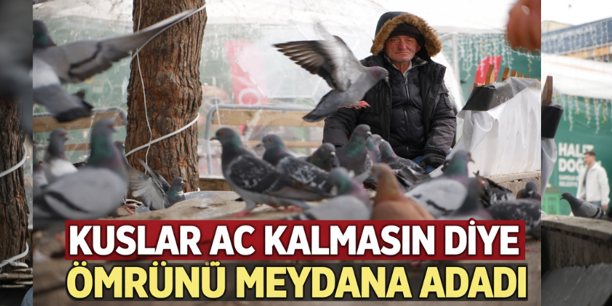Kuşlar Aç Kalmasın Diye Hayatını Adadı