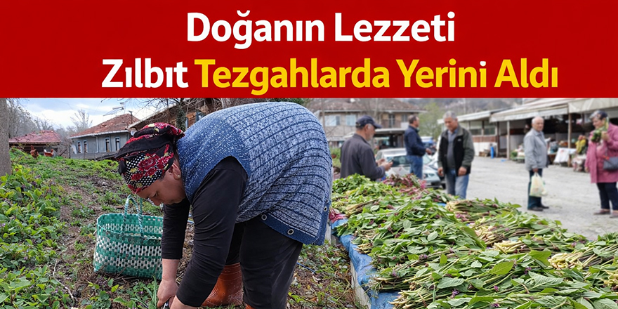 Doğanın Lezzeti Zılbıt Tezgahlarda Yerini Aldı