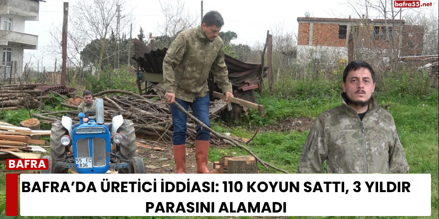 Bafra’da üretici iddiası: 110 koyun sattı, 3 yıldır parasını alamadı
