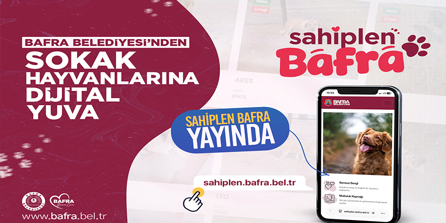 Bafra’da sokak hayvanları için dijital sahiplendirme dönemi