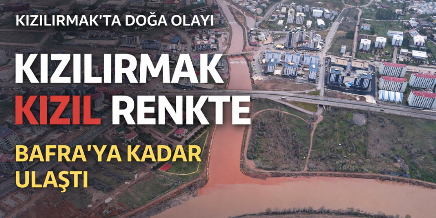 Kızılırmak yeniden kızardı: Bafra’ya ulaşan renk doğaseverleri büyüledi