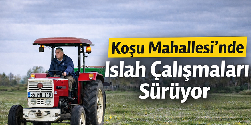 Bafra Koşu Mahallesi meralarında ıslah çalışmaları sürüyor