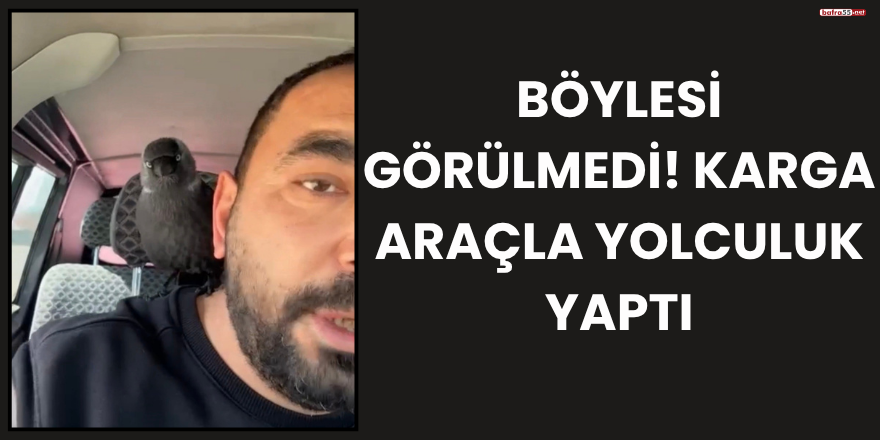 Böylesi görülmedi! Karga araçla yolculuk yaptı
