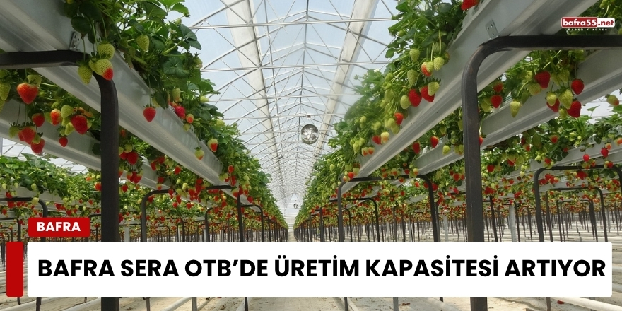 Bafra Sera OTB’de Üretim Kapasitesi Artıyor