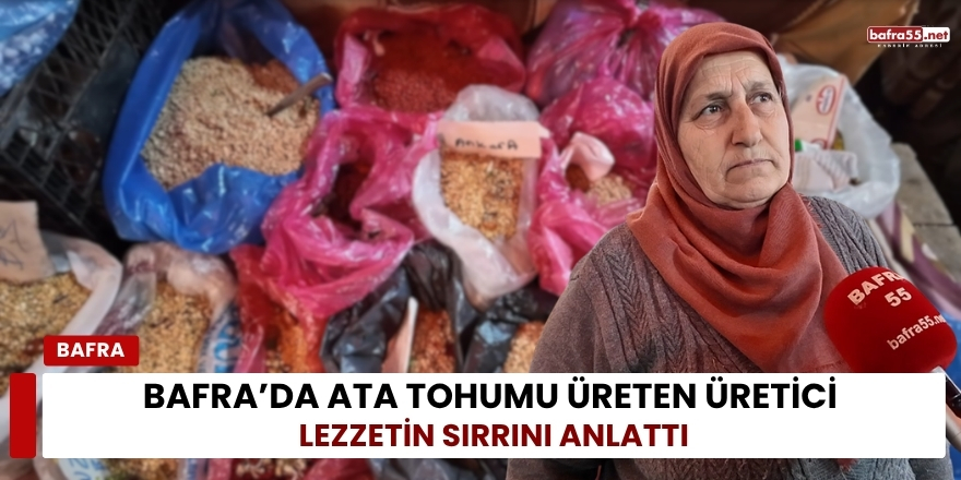 Bafra’da Ata Tohumu Üreten Üretici Lezzetin Sırrını Anlattı