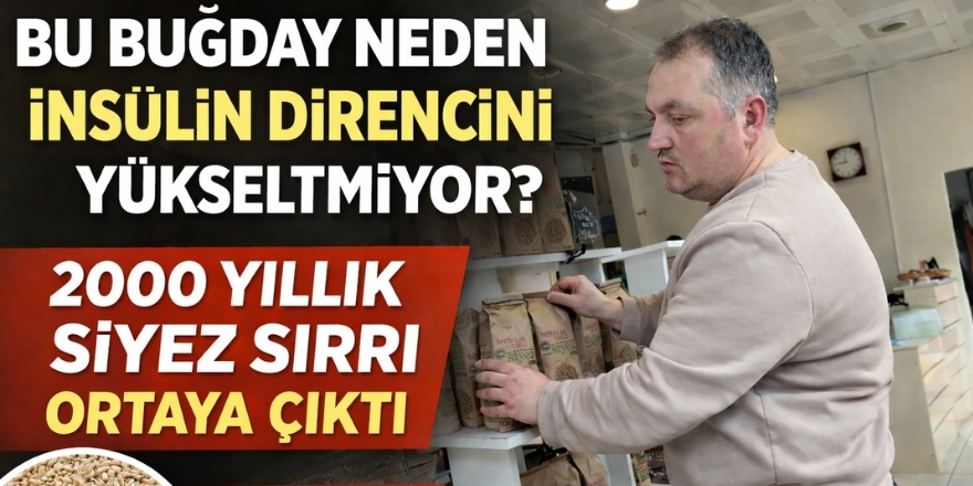 Bu Buğday Neden İnsülin Direncini Yükseltmiyor 2000 Yıllık Siyez Sırrı