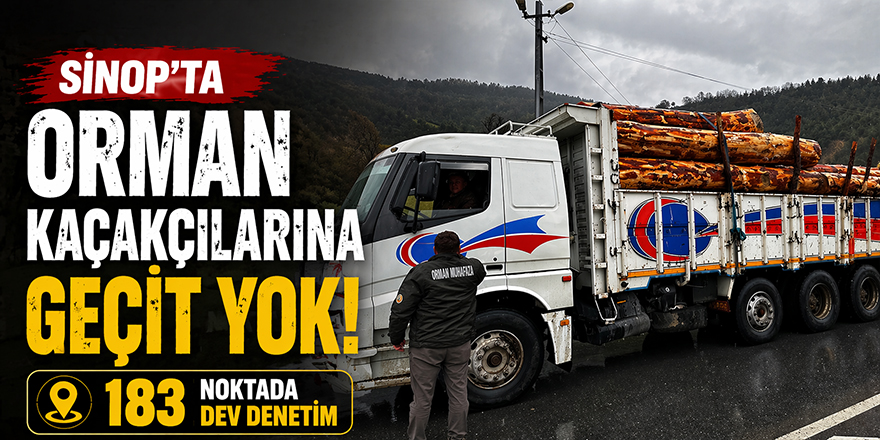 Sinop'ta Orman Kaçakçılarına Geçit Yok! 183 Noktada Dev Denetim