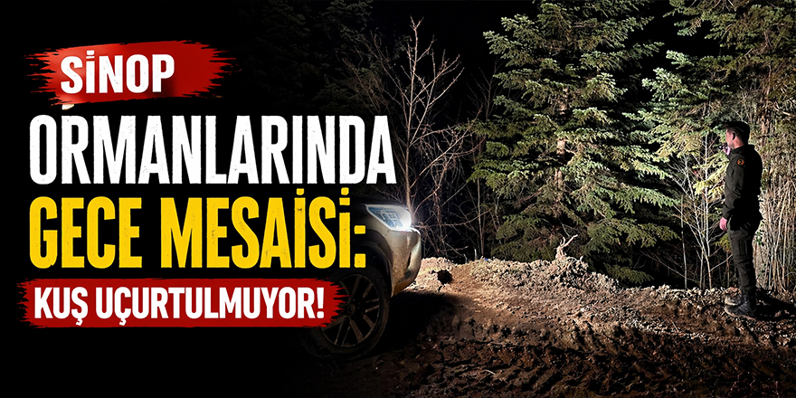 Orman Kaçakçılarına Gece Baskını! Ekipler O İlçelerde Teyakkuzda