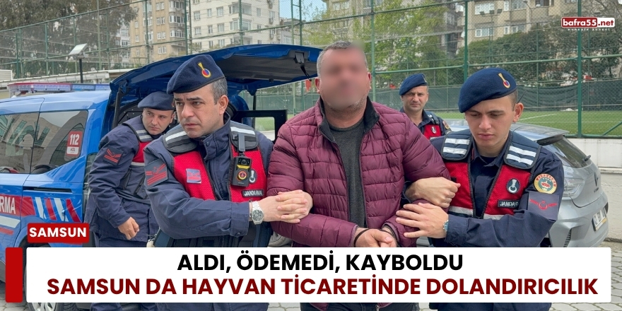 Aldı, Ödemedi, Kayboldu: Samsun da Hayvan Ticaretinde Dolandırıcılık