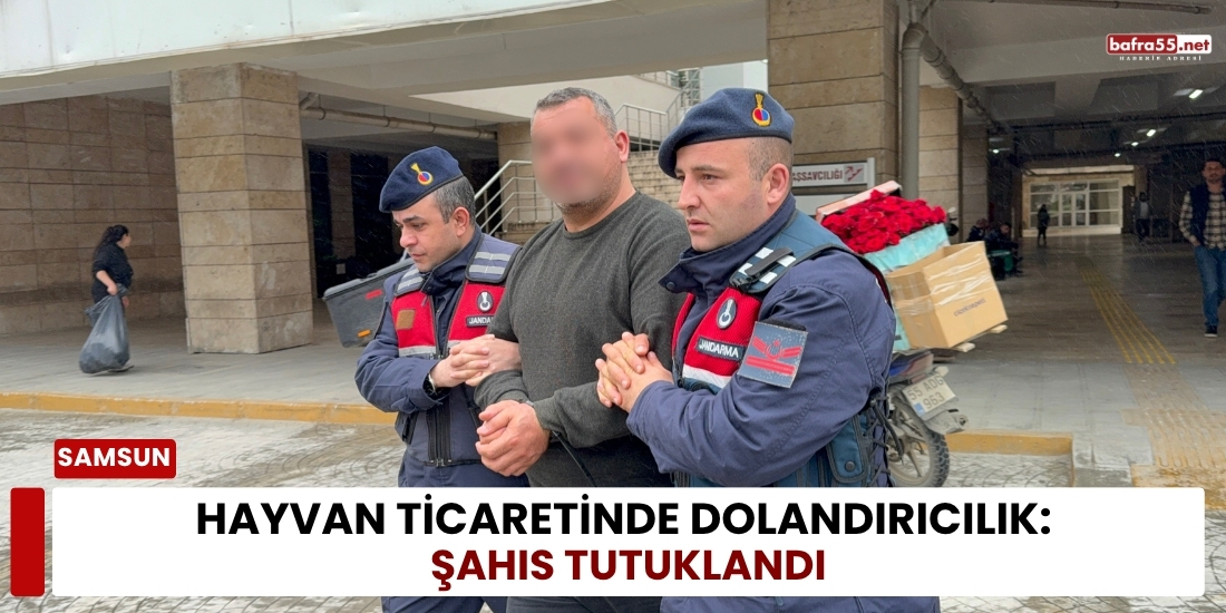 Hayvan Ticaretinde Dolandırıcılık: Şahıs Tutuklandı