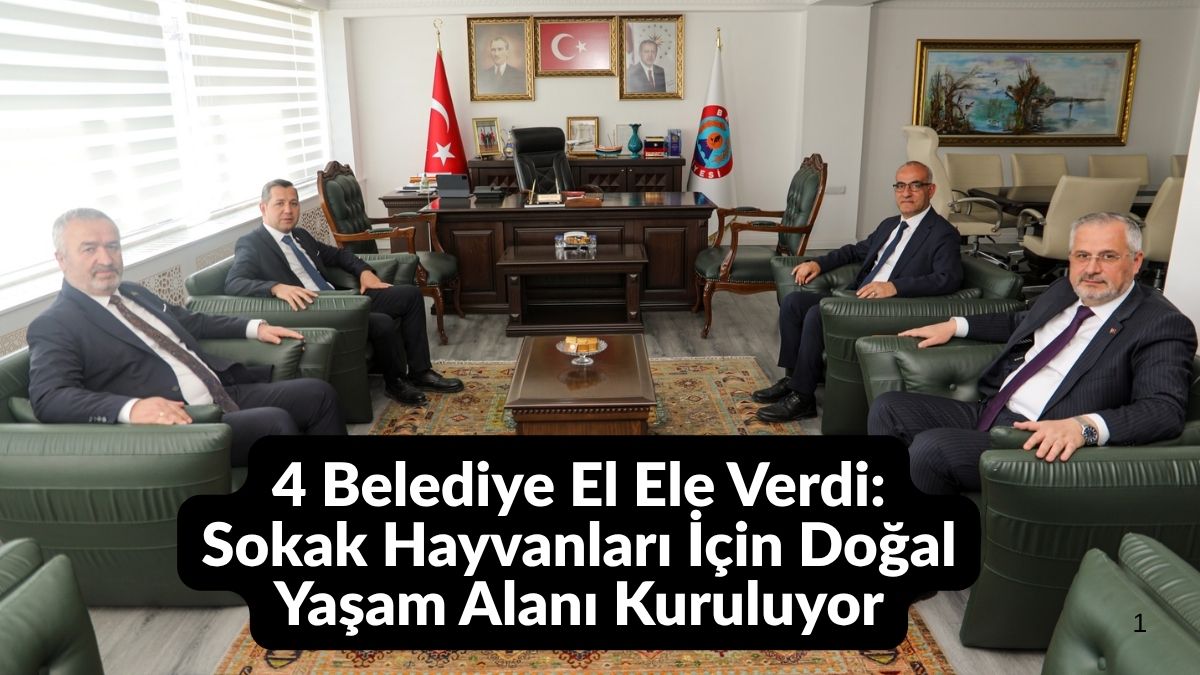 4 Belediye El Ele Verdi: Sokak Hayvanları İçin Doğal Yaşam Alanı Kuruluyor