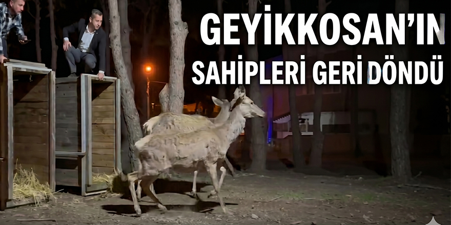 Geyikkoşan’ın Sahipleri Geri Döndü