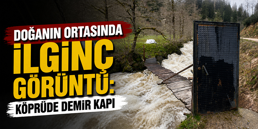 Doğanın Ortasında İlginç Görüntü: Köprüde Demir Kapı