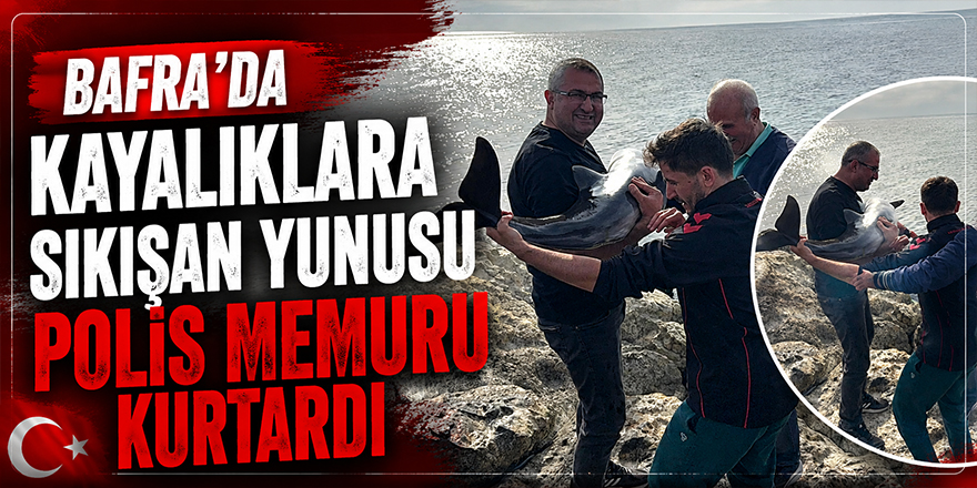 Bafra’da Kayalıklara Sıkışan Yunusu Polis Memuru Kurtardı