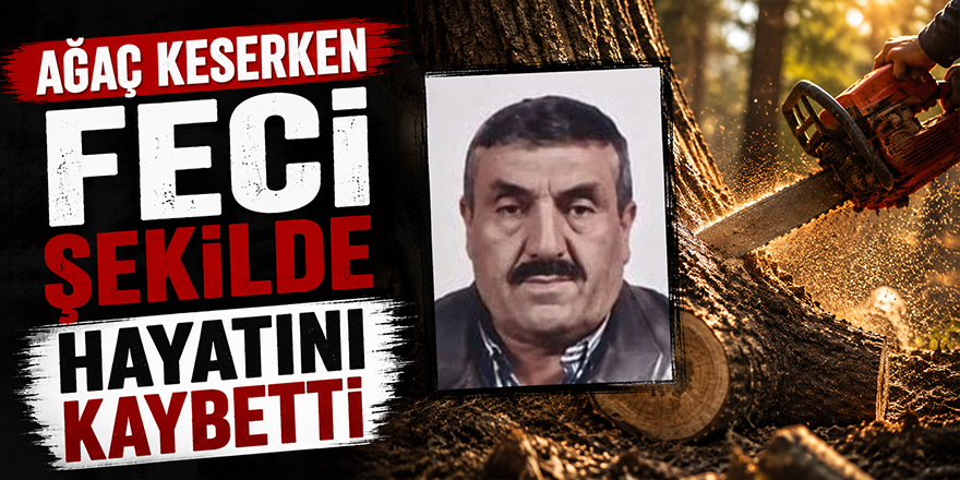 Ağaç Keserken Feci Şekilde Hayatını Kaybetti