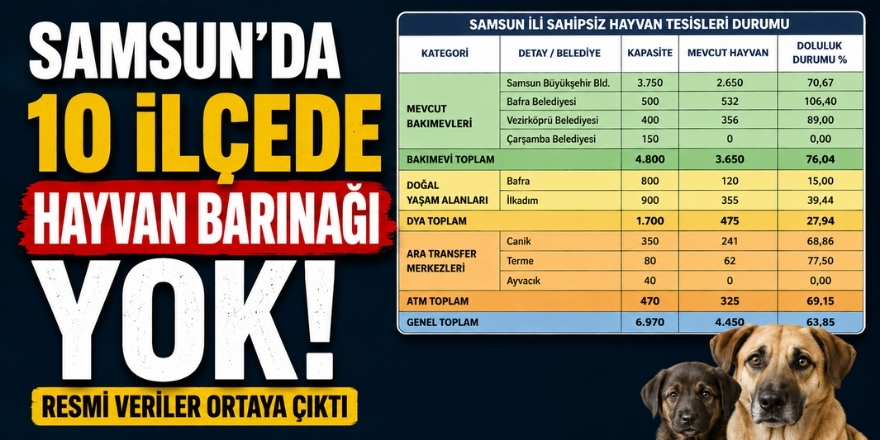 Samsun’daki 10 İlçede Hayvan Barınağı ve Tesis Bulunmuyor