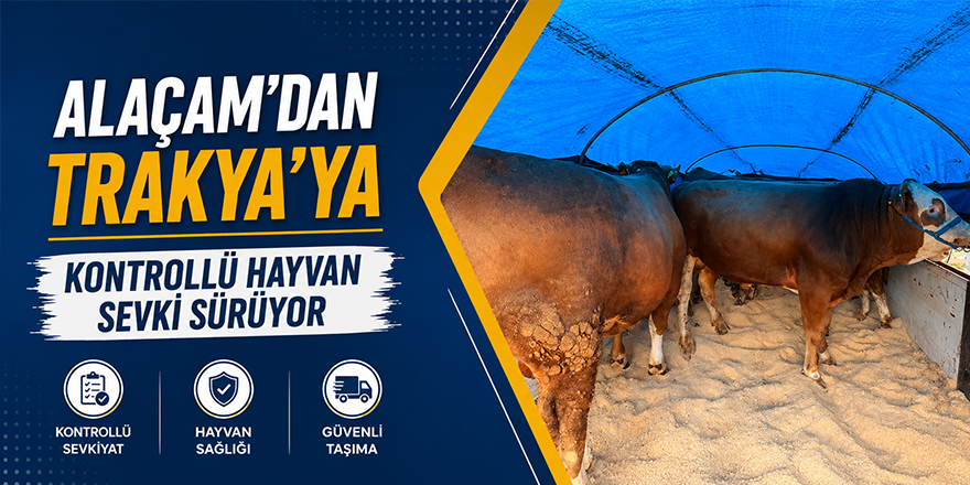 Alaçam’dan Trakya’ya Kontrollü Hayvan Sevki Sürüyor