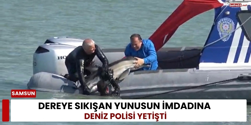 Dereye Sıkışan Yunusun İmdadına Deniz Polisi Yetişti