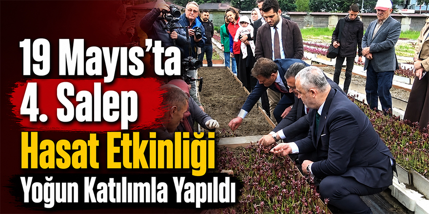 19 Mayıs’ta 4. Salep Hasat Etkinliği Yoğun Katılımla Yapıldı