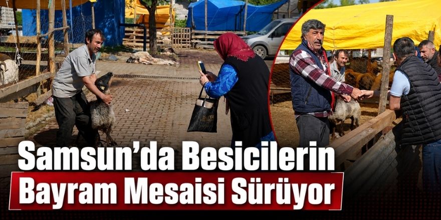 Samsun’da Besicilerin Bayram Mesaisi Sürüyor